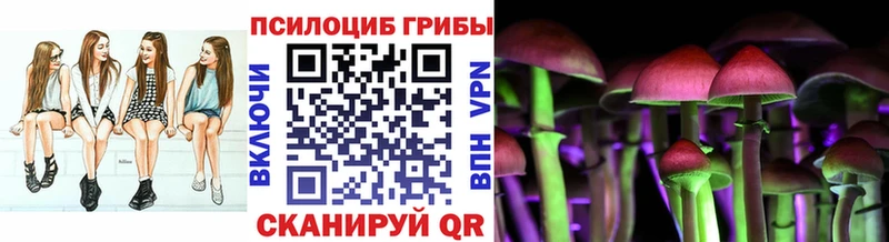 Купить  Углегорск  Псилоцибиновые грибы ЛСД 